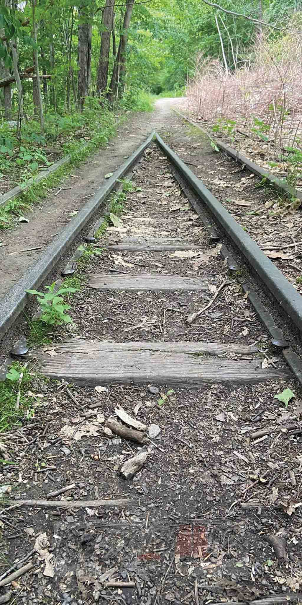 Cornhole Board Set - Train Tracks